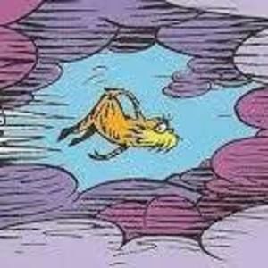 Meet your Posher, Gretchen